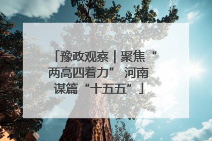 豫政观察｜聚焦“两高四着力” 河南谋篇“十五五”